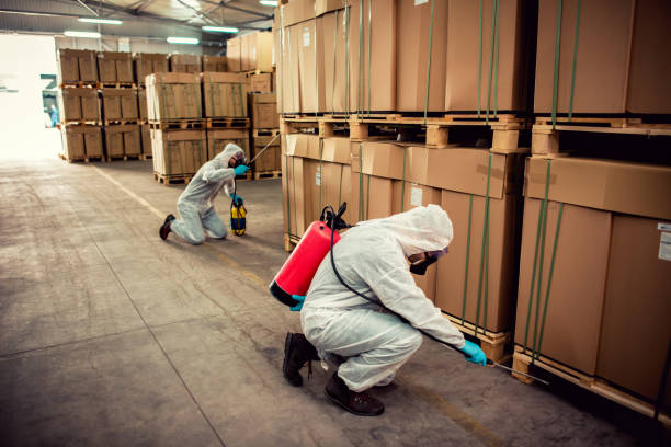 Best Termite Control Services  in Heath, TX