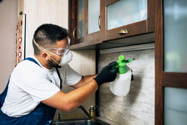 Wasp Removal Services in Heath, TX