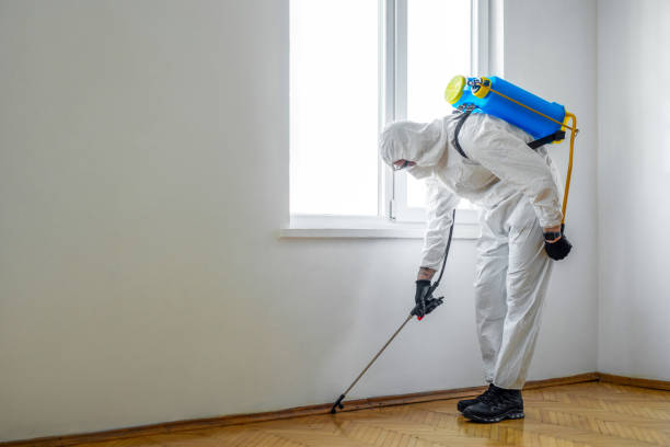Flea Control Services in Heath, TX
