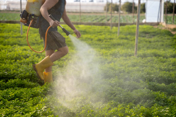 Best Affordable Pest Control Services  in Heath, TX