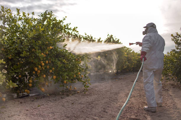  Heath, TX Pest Control Pros
