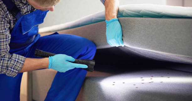 Best Pest Control Near Me in Heath, TX
