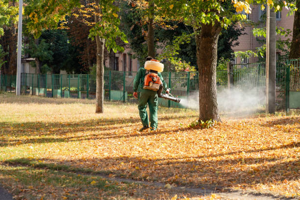 Reliable Heath, TX Pest Control Solutions