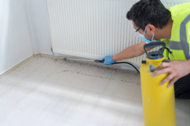 Best Flea Control Services  in Heath, TX